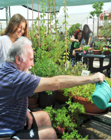 ���� ������